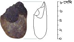 Jinsiy aloqa Sinelnikovo